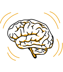 Brain